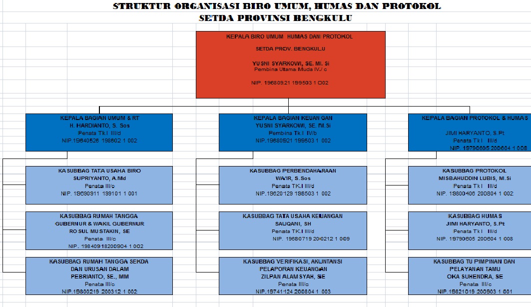 struktur organisasi